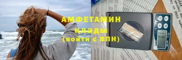 шишки Корсаков