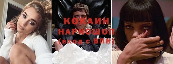 шишки Краснотурьинск