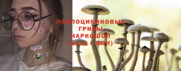 шишки Корсаков