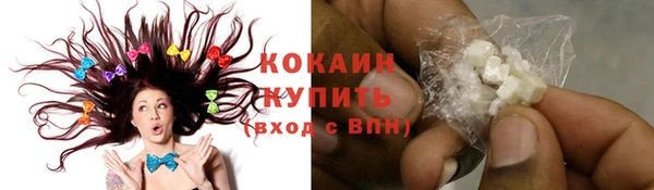 шишки Корсаков