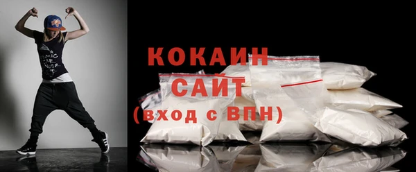 шишки Краснотурьинск