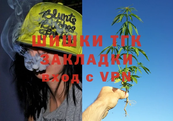 шишки Корсаков