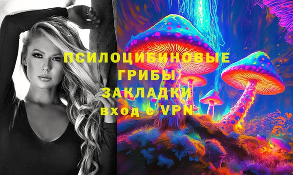 шишки Краснотурьинск