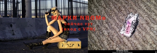 шишки Корсаков