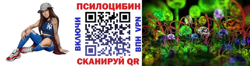 Галлюциногенные грибы Psilocybe  Купить где  Холм 