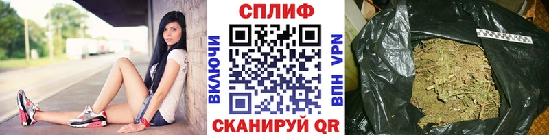 Купить где  Холм  Канабис SATIVA & INDICA 